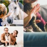 RELATION AUX ANIMAUX:SELF