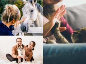 RELATION AUX ANIMAUX:SELF